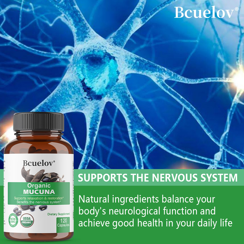 Organic Mucuna Capsules - Supp - đánh giá và giá Tulsi Holy Basil