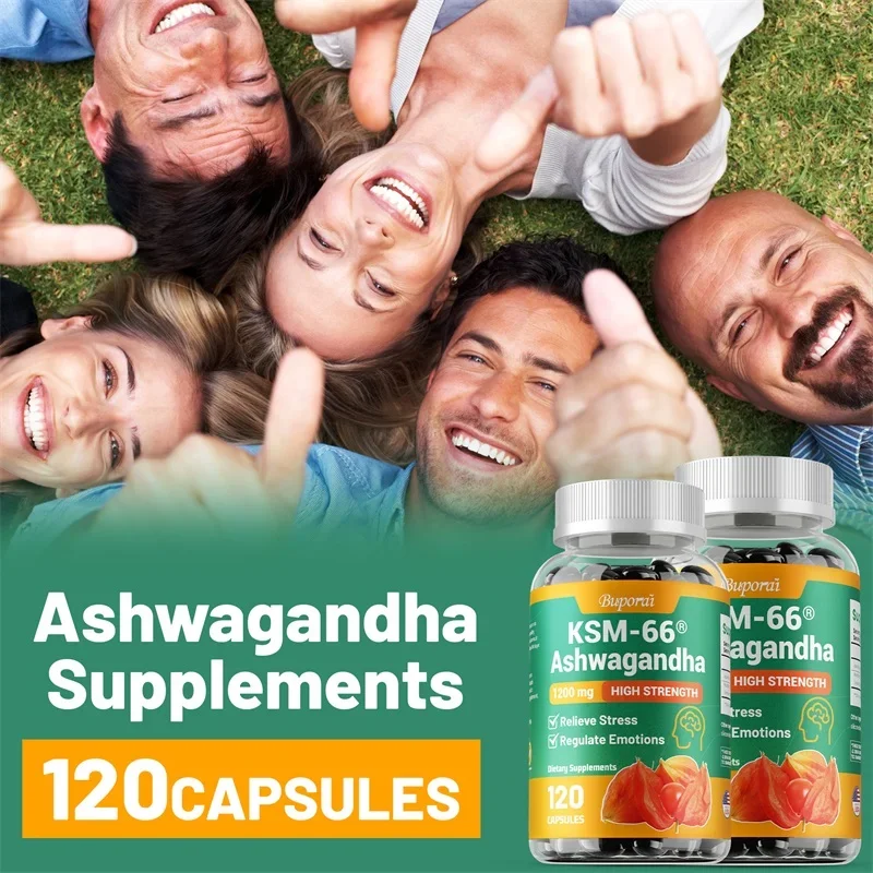 KSM-66 Ashwagandha Extracts Ca - đánh giá và giá Tulsi Holy Basil
